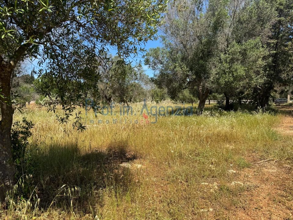 Helårsgrund i San Vito dei Normanni, Brindisi - foto 5